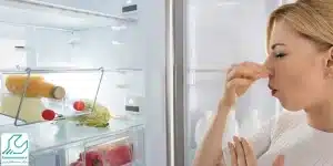 رفع بوی بد یخچال