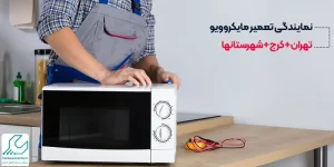 نمایندگی تعمیر مایکروویو